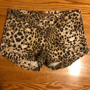 STS BLUE Leopard Print Shorts